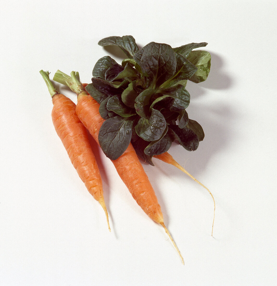 Fresh carrots and spinach on white background