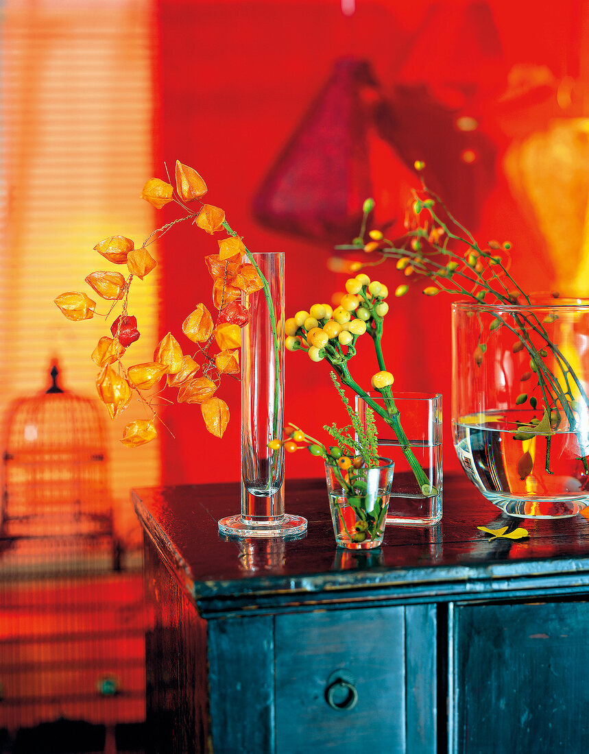 Orange Chinese lantern flowers, ornamental peppers and rose hips in vases on table