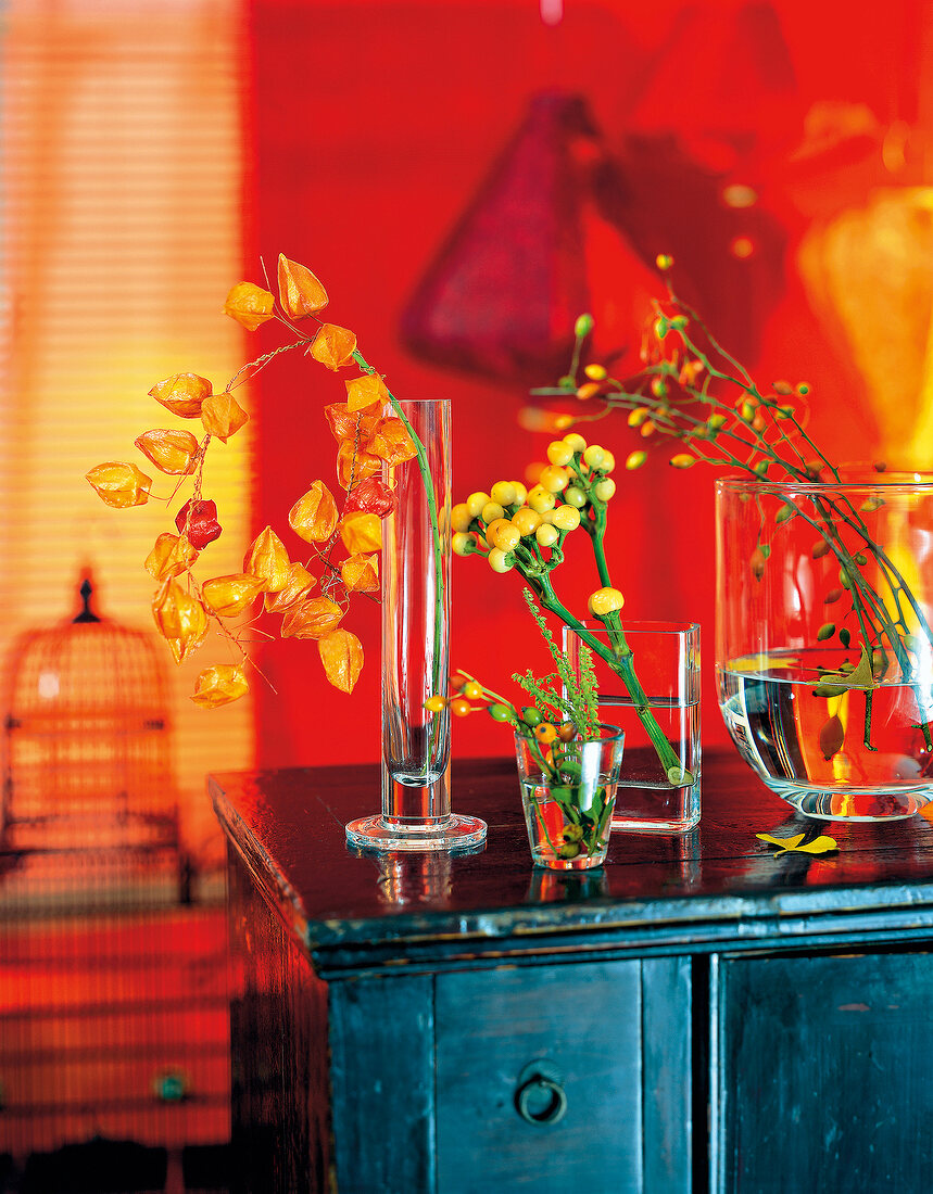 Orangefarbene Lampionblumen, Zierpaprika und Hagebutten in Vasen.