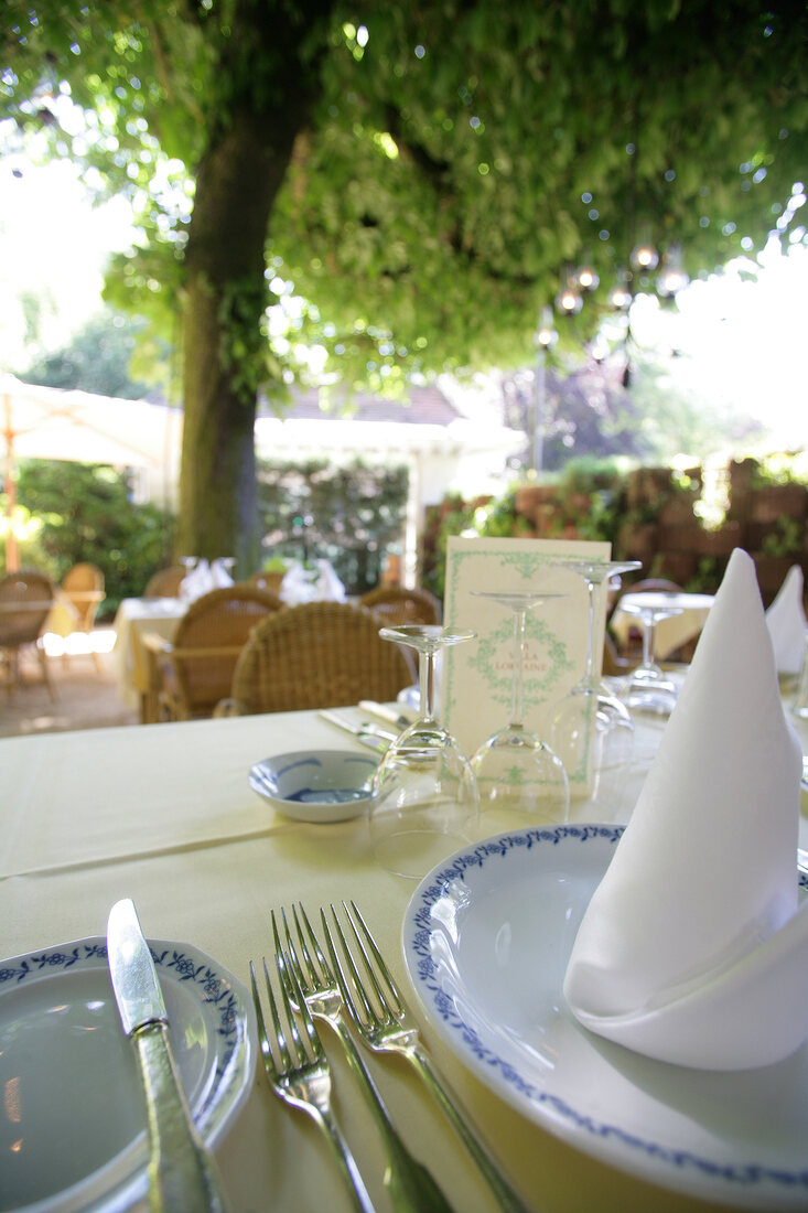 Tables laid in restaurant, Austria