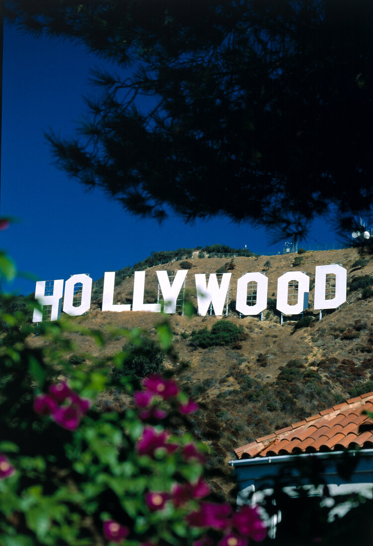 Low angle view of Hollywood Sign on hill in Los Angeles, California, USA