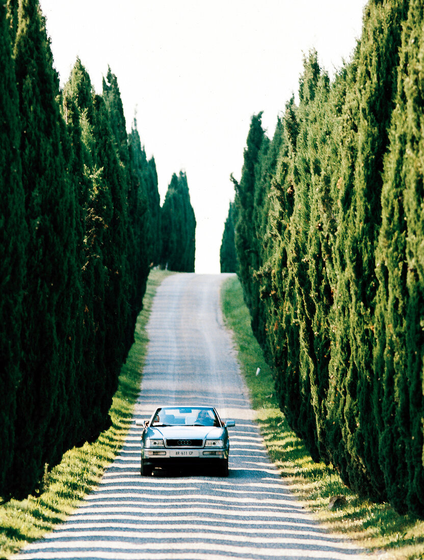 Lined car on country road with cypresses on side, Italy