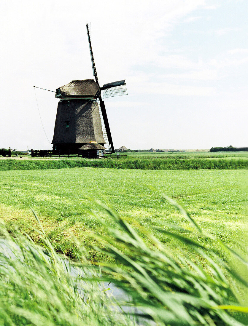 View of windmill in meadow