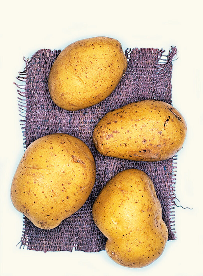 Princess Biokartoffeln, Kartoffelsorte