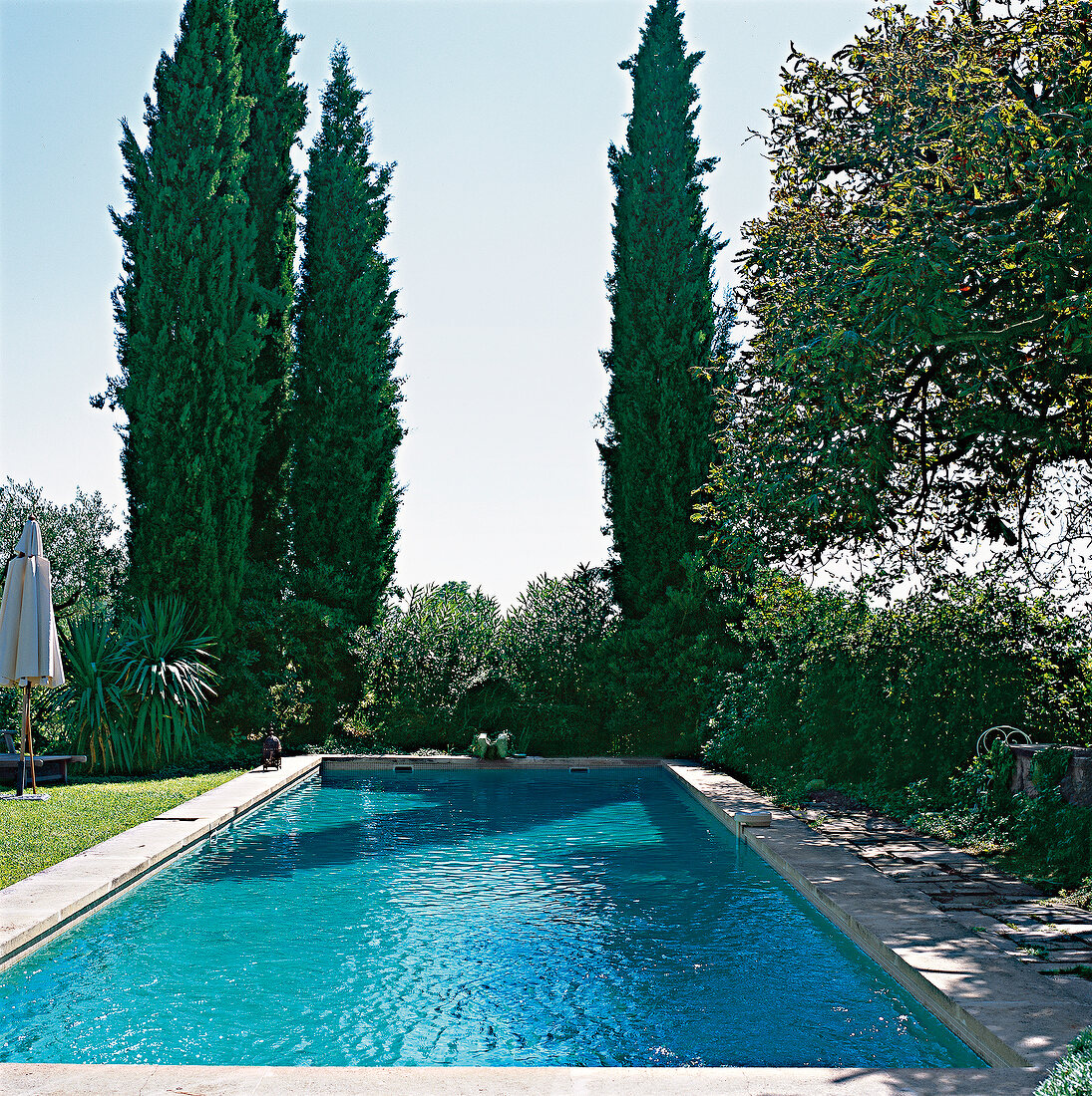 Swimming-Pool in der Provence Zypressen, Frankreich
