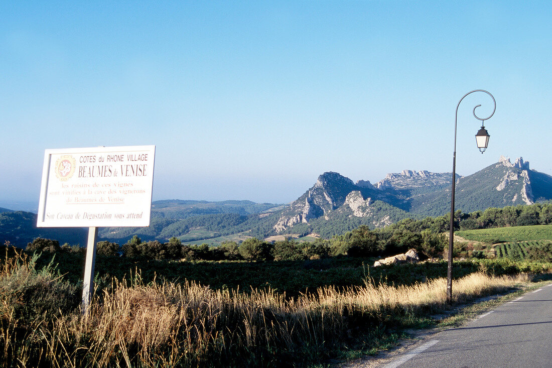 View of road, signpost and street lamp