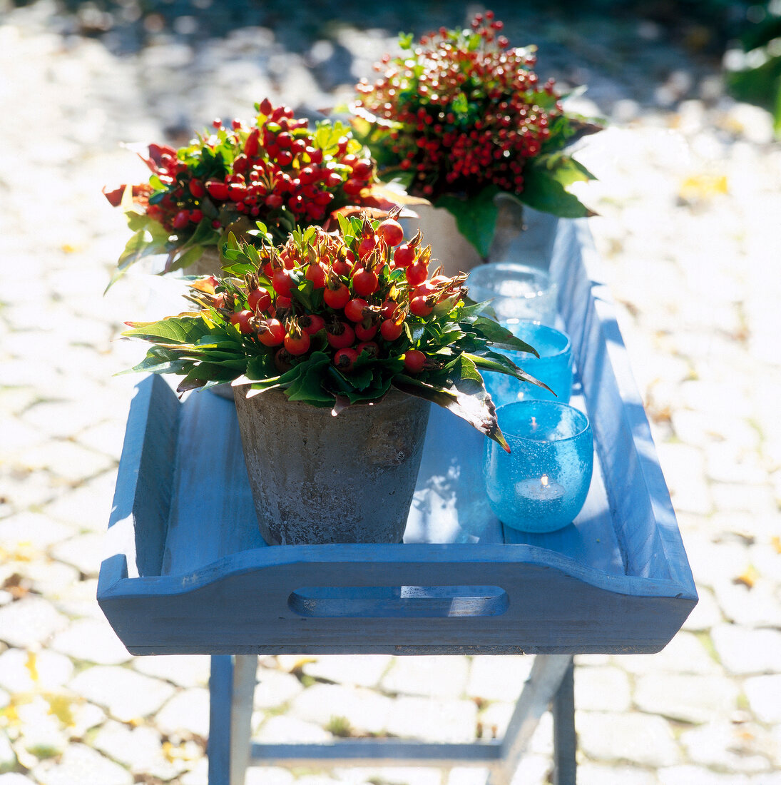 Close-up of biedermeier bouquets of rose hips on blue tray