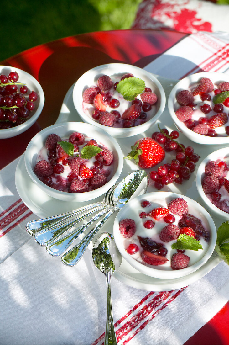 Tablett mit fünf Schalen Quark mit Beeren auf einem roten Tisch. x