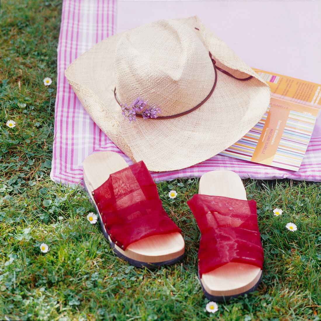 Red sandals, straw hat and book on purple blanket in garden