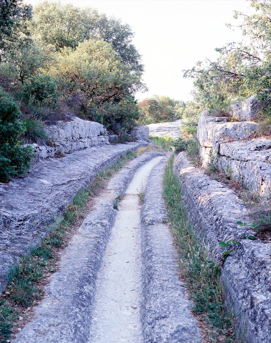 Dig stones surrounded by trees in France