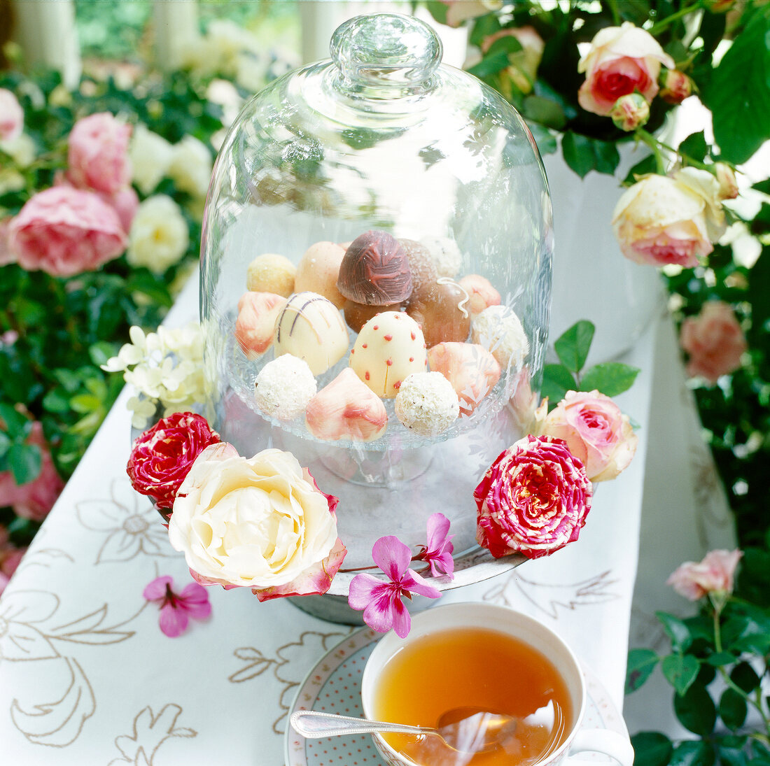 Pralinen unter einer Glashaube auf einem Tisch im Garten, Blumen. x