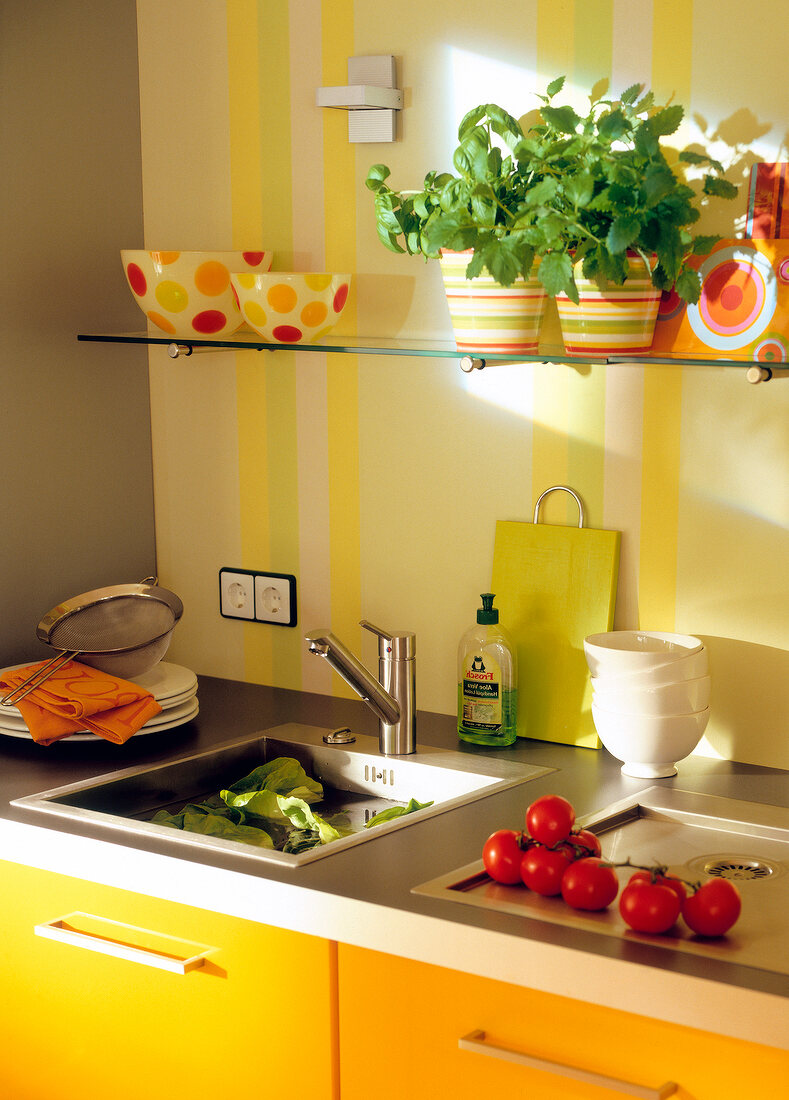 Küche bunt: Edelstahlspüle, Becken eckig, darüber Glsaregal m. Pflanzen