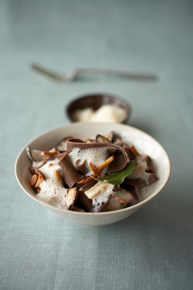 Coffee pasta with wild mushroom sauce and bay leaf in bowl