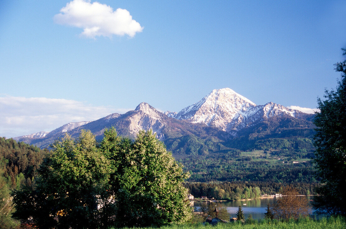 View of mountains overlooking trees and meadow