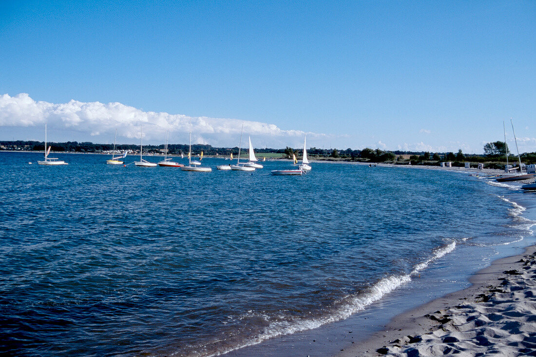 Ships moored on Baltic sea, blue sky