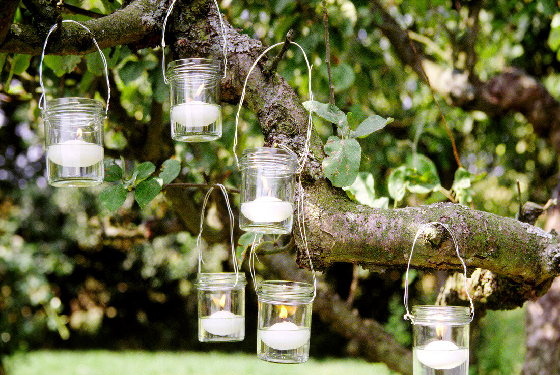 Six candles in glass lanterns hanging on branch of tree