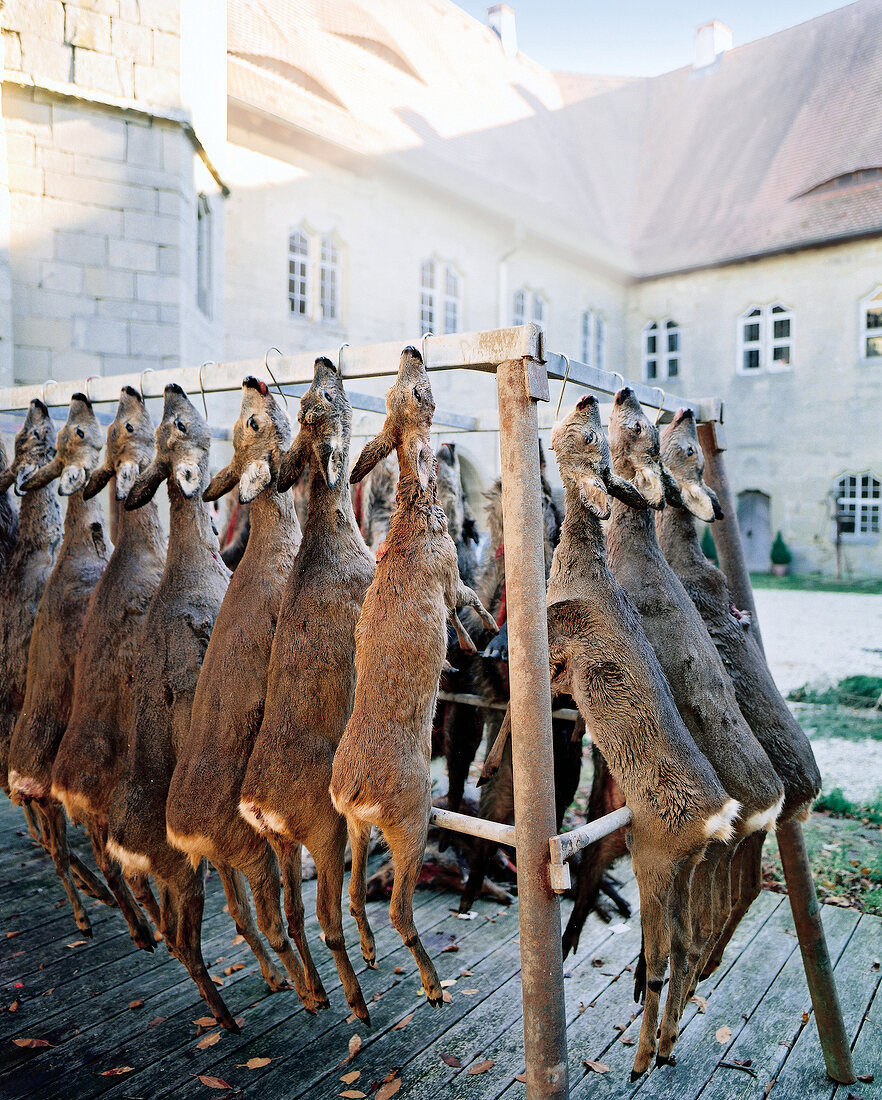 Hunted game after a hunt in the castle Frankenberg, Weigenheim, Germany