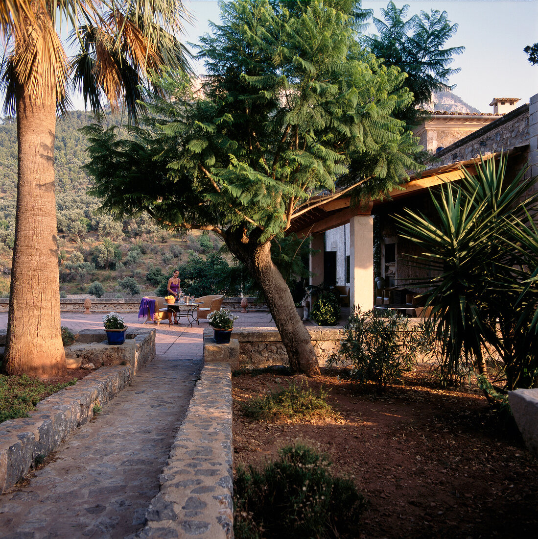 View of Son Bleda mansion with acacia and palm trees in Mallorca