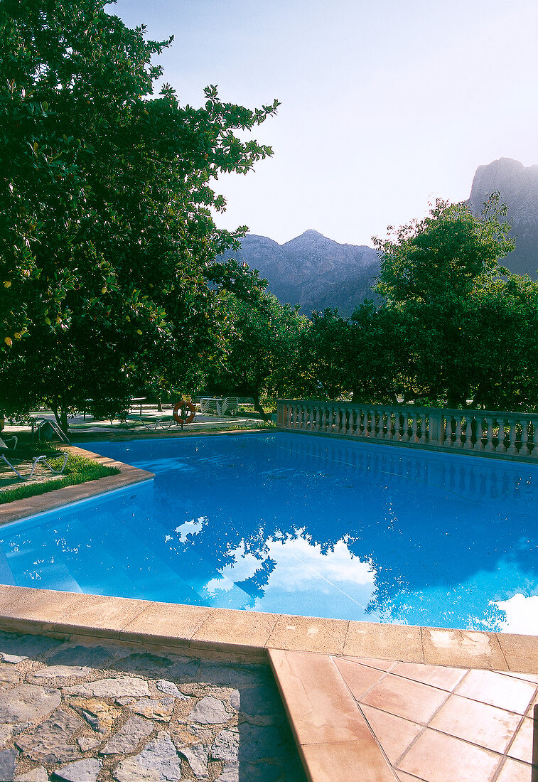 Pool unter Bäumen mit Blick auf "Serra de Tramuntana", Berge