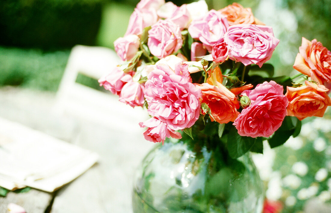 Strauß roter und rosaner Rosen in einer Vase auf einem Tisch Garten.