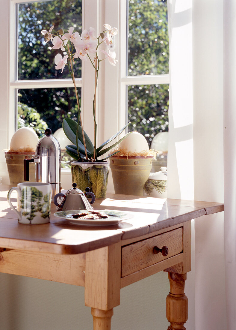 Orchids in glass vase on a wooden table against window