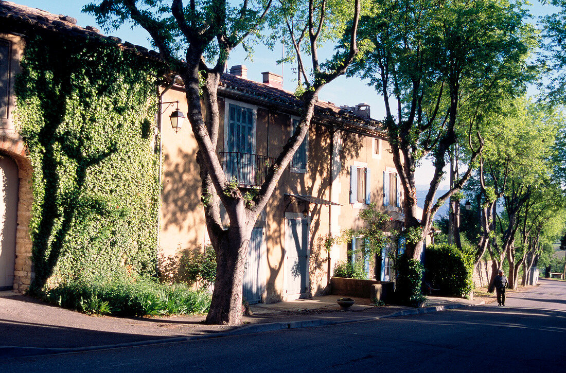 Teils bewachsene Fassade e. alten Hauses, Bäume und eine Straße.