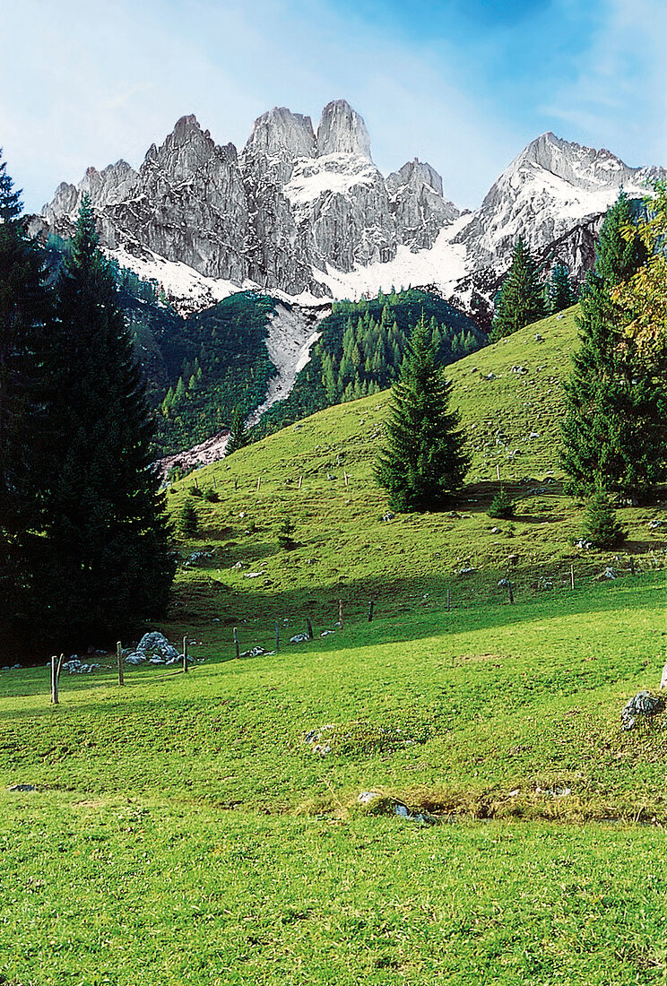 Blick über eine Wiese auf die Alpen in Filzmoos