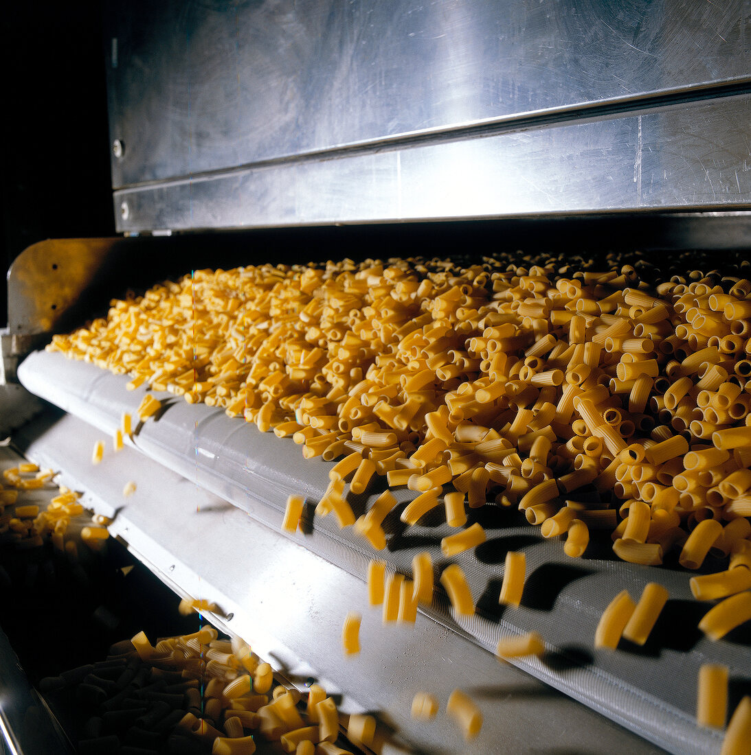 Fully automatic raw pasta production shaker