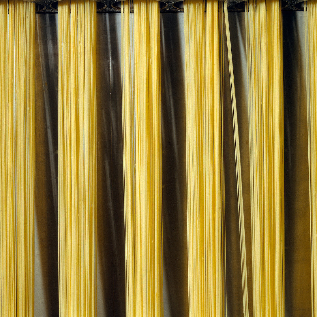 Production of spaghetti noodles, Italy