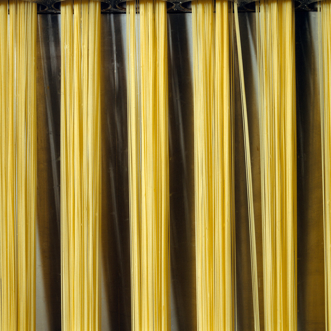 Teigwaren.  Sortierung von Spaghetti, Nudelproduktion Italien