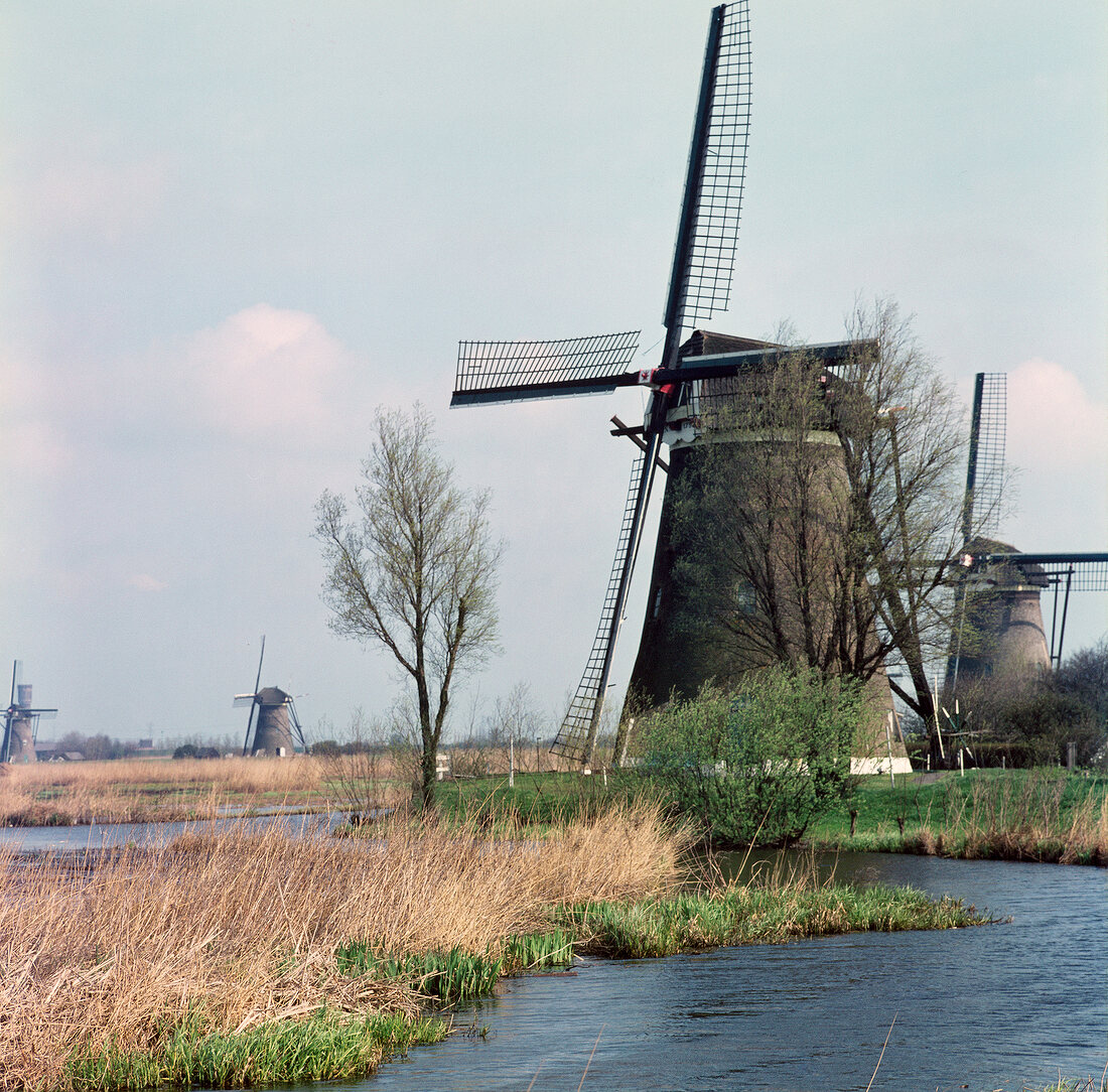 View of windmills in Dutch landscape