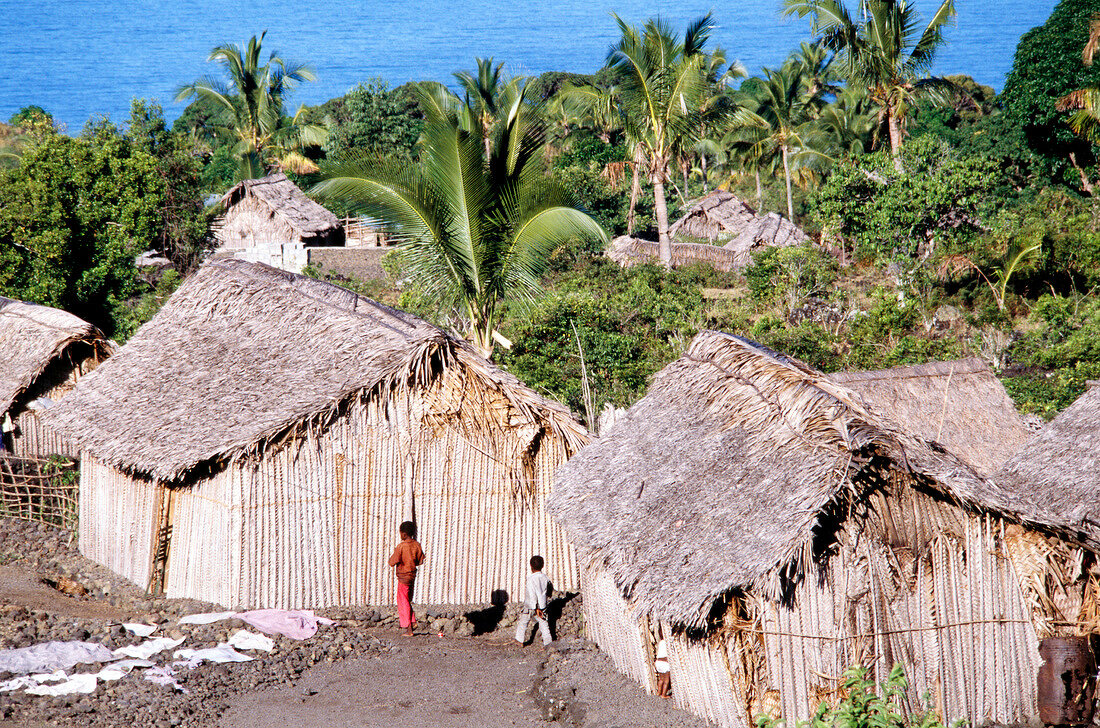 Fishermen's houses made of palm leaves and wood on Grande Comore island, Comoros