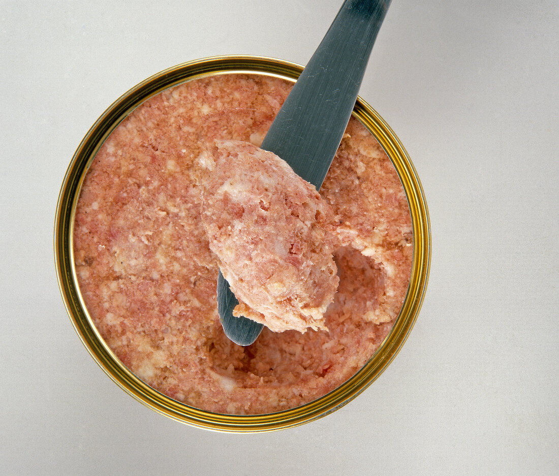 Homemade sausage with piece on spatula, overhead view