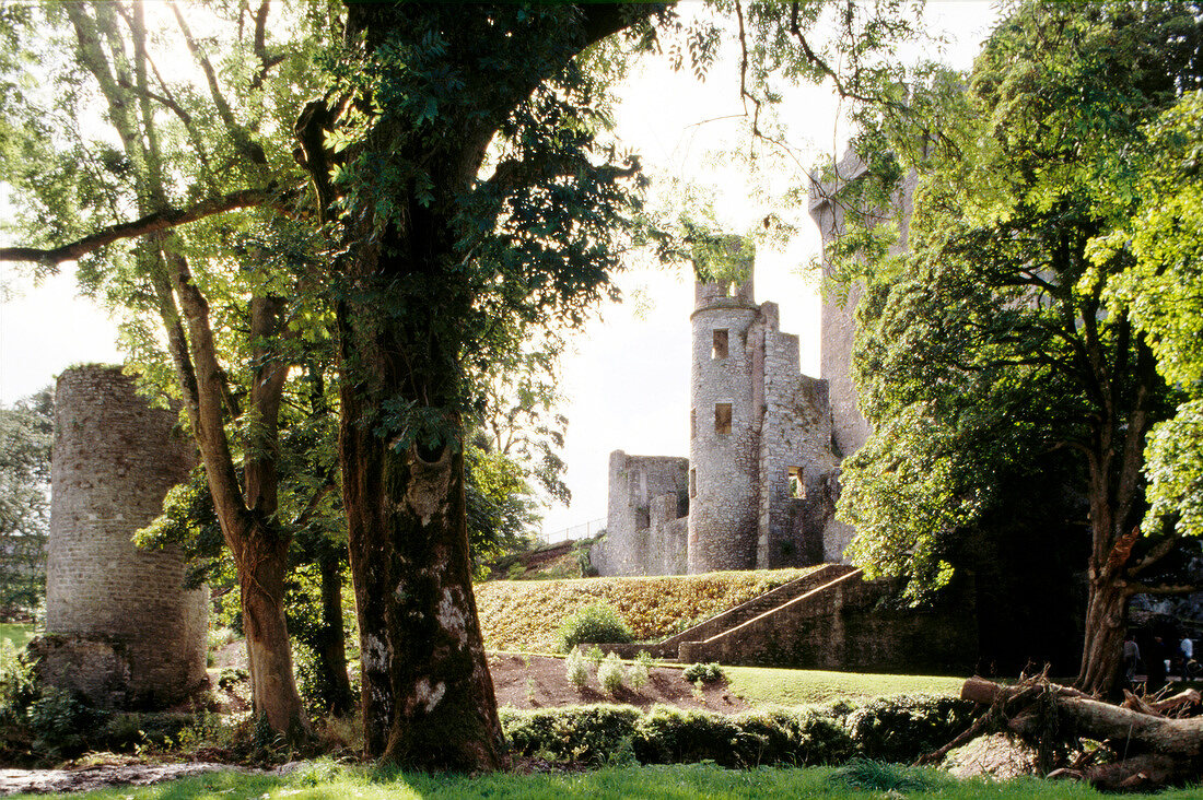 Blick aus dem Park auf die Burgruinen von Bantry Castle in Irland