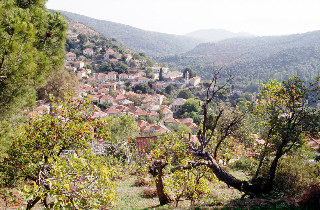 View of villages on the mountains of Pelion, Greece