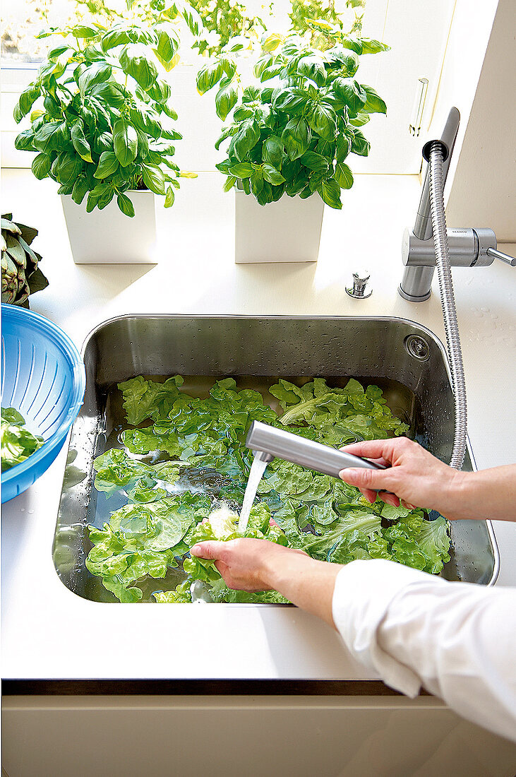Küche mit Spüle, Salatblätter werden in Wasser gewaschen