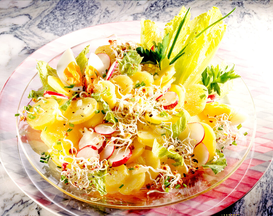 Potato sprouts salad with spicy marinade on plate