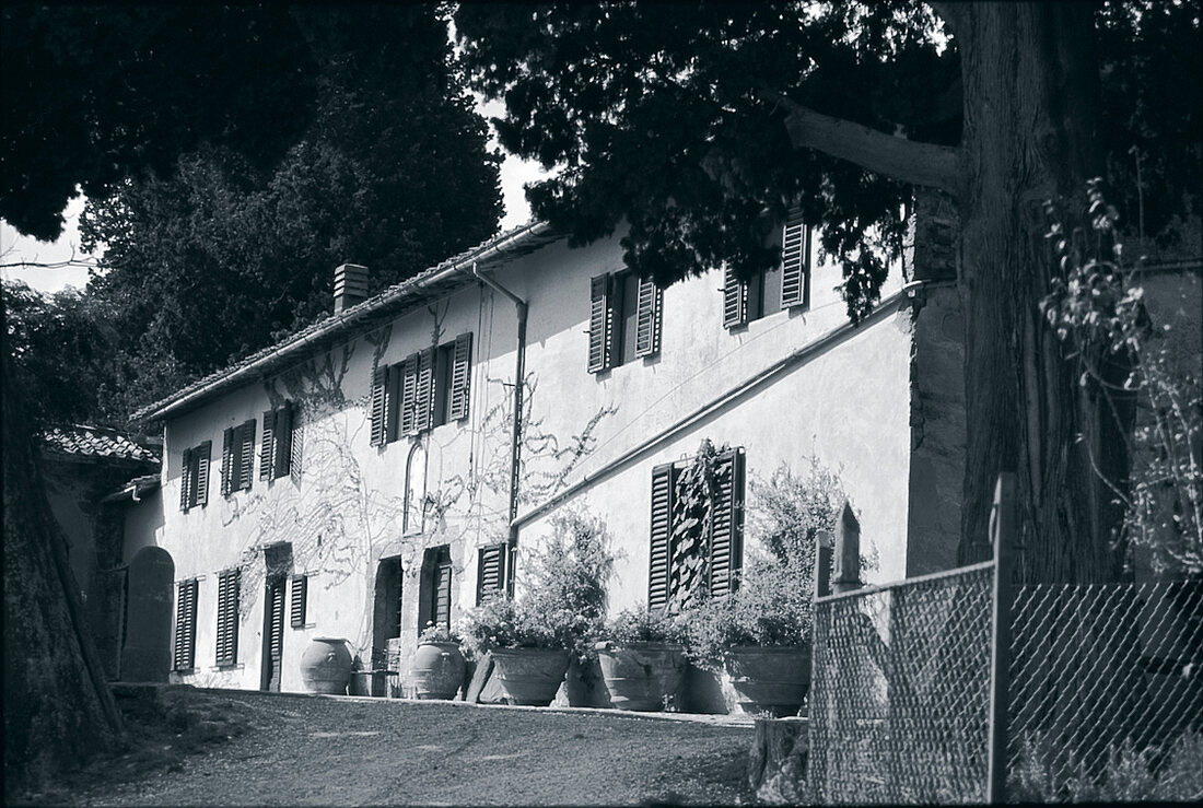 Weingut, Bibi Graetz, Toskana, Fiesole