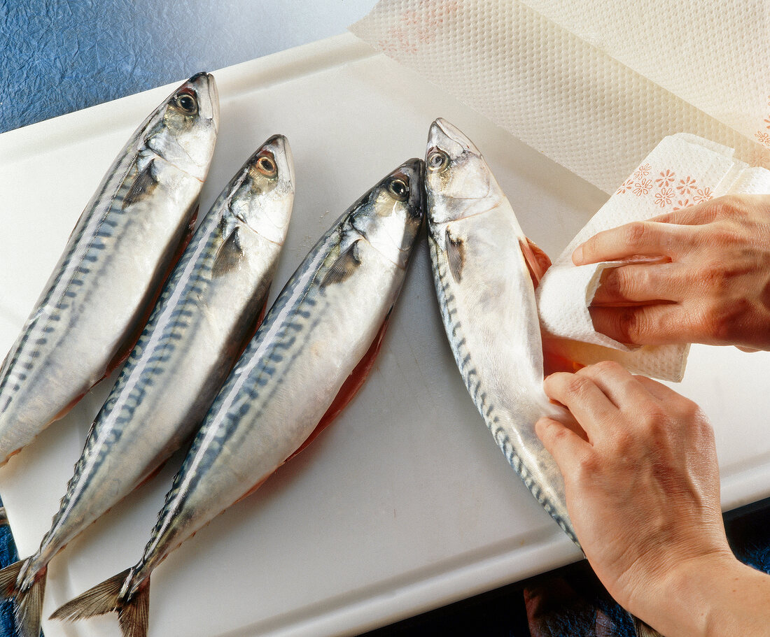 Patting mackerel dry