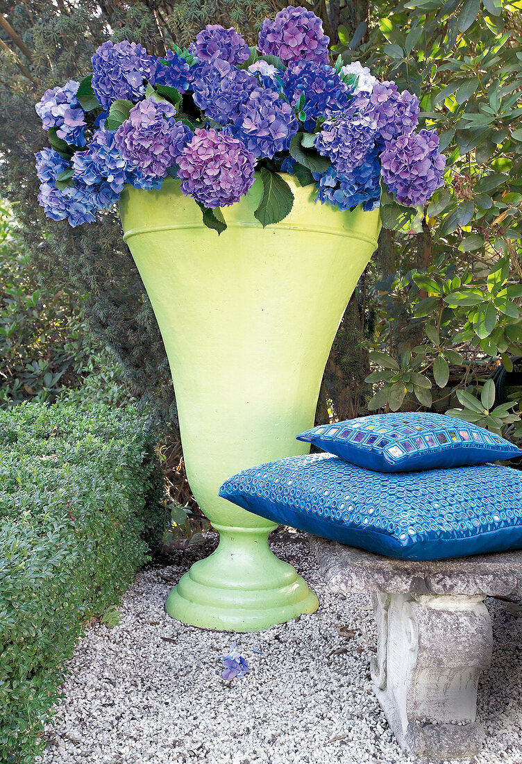 Hortensien in einer großen Vase im Garten auf der Terrasse, Balkon