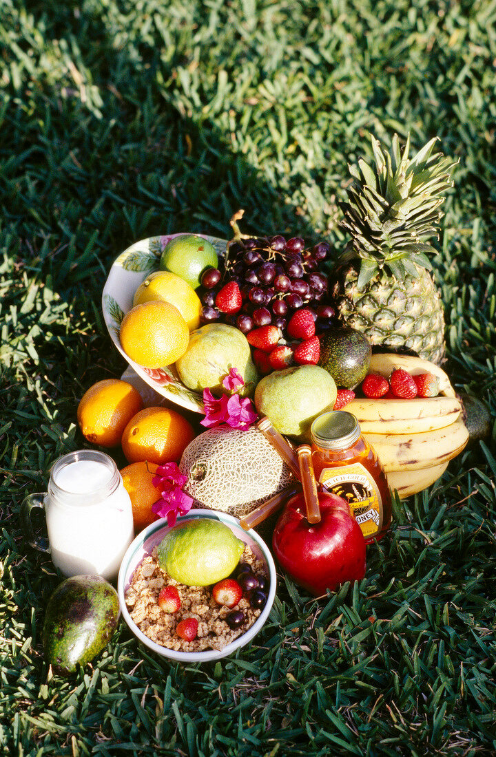 Variety of fruits, milk and honey on grass