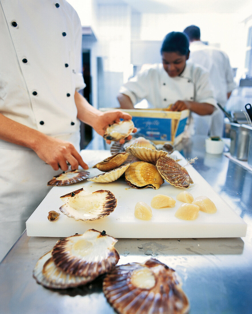 Chef detaching scallops from shell