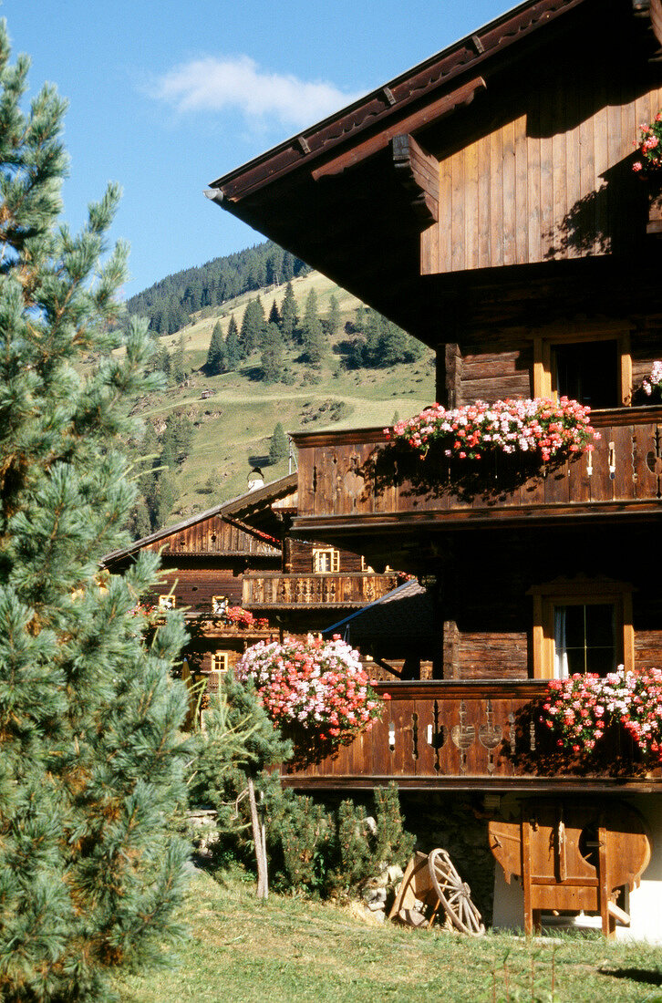 View of Gannerhof in Villgratental, East Tyrol, Austria