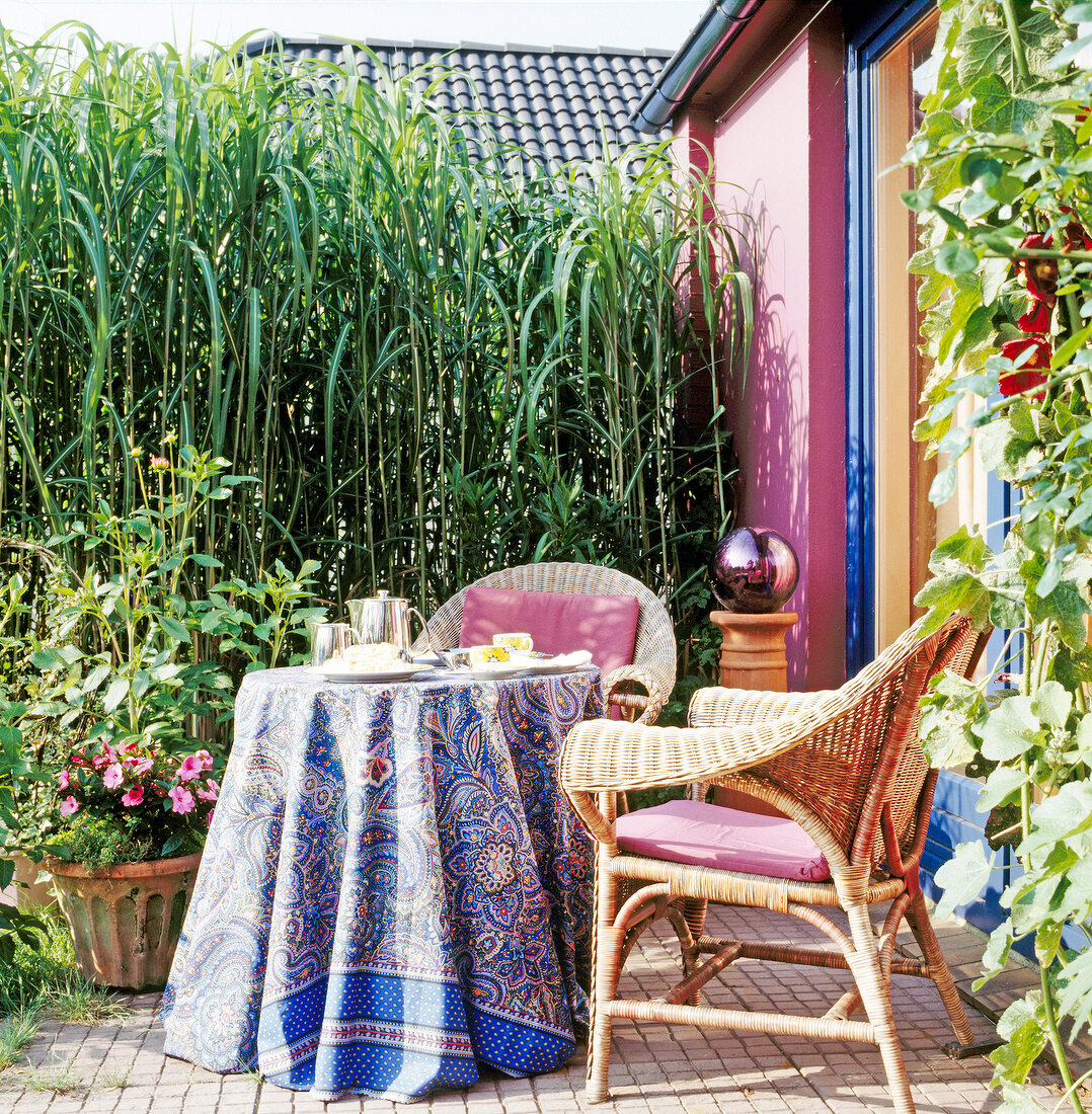 Terrasse mit Chinaschilf und Bambus als Sichtschutz