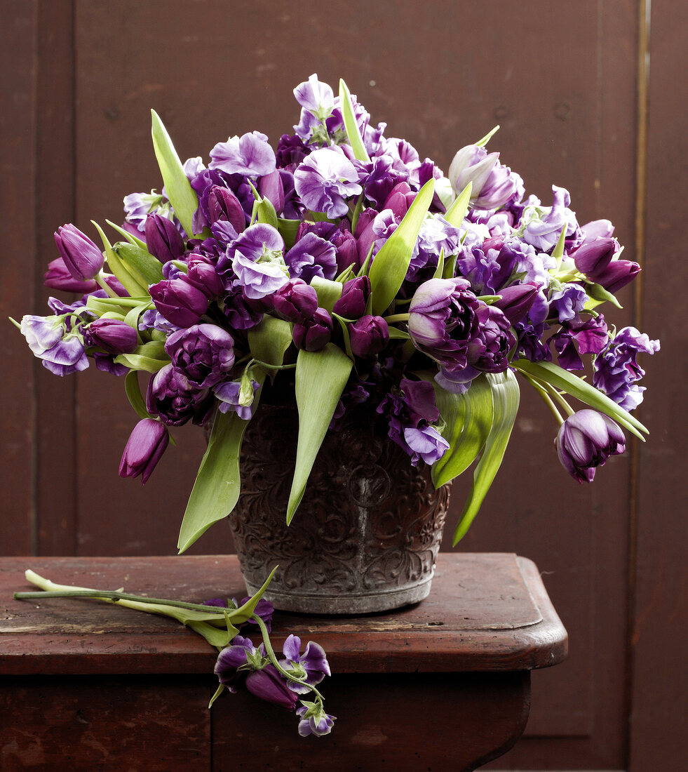 Tulpen und Wicken in Vase 