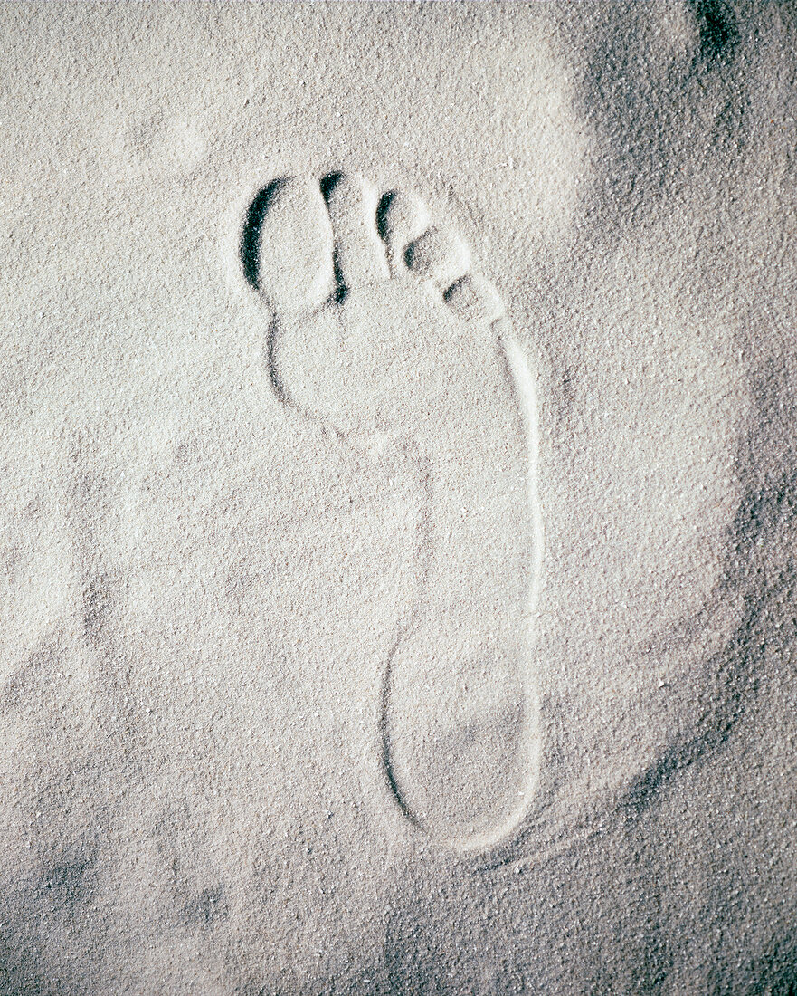 Footprint on sand