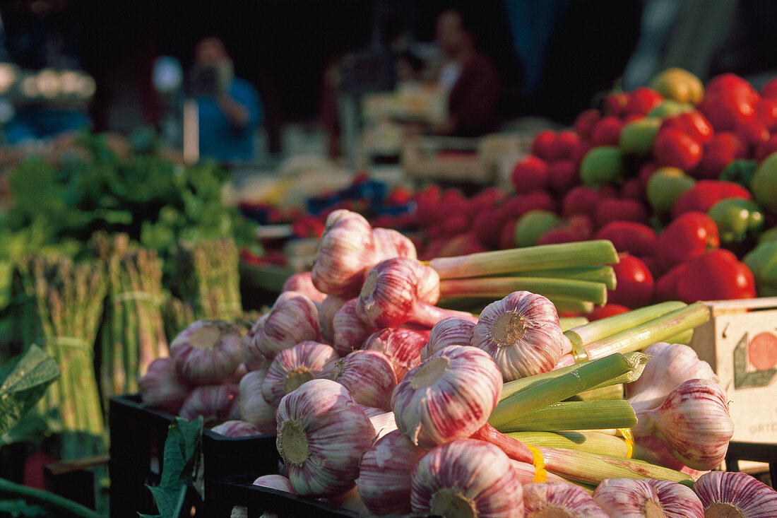 Kräuter und Knoblauch; Haufen Knoblauch auf Markt, frisch