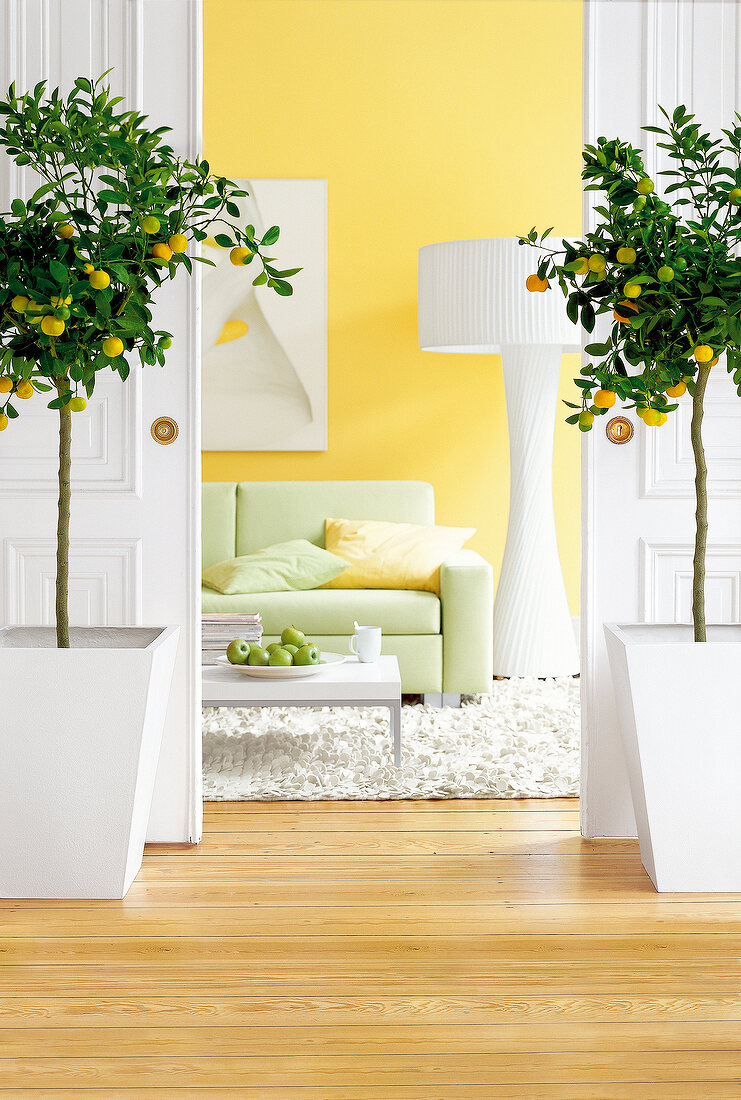 Blick in ein Wohnzimmer mit gelber Tapete und Zitronenbäumen