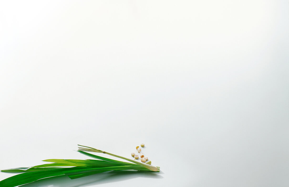 Lemon grass and pandan leaves on white background, copy space