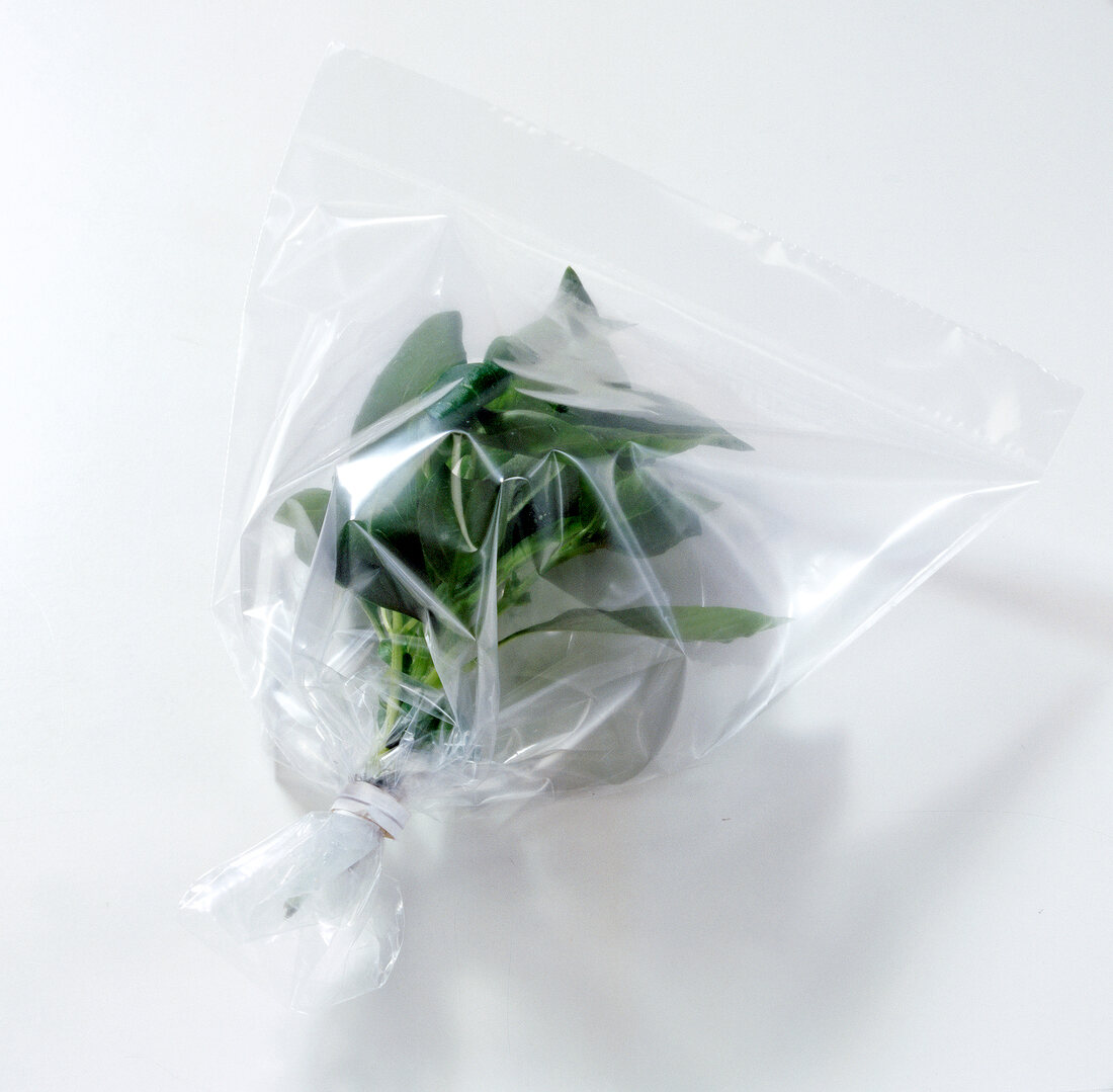 Fresh herbs in bag with lots of air on white background